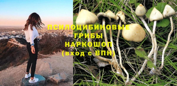 соль ск Данков