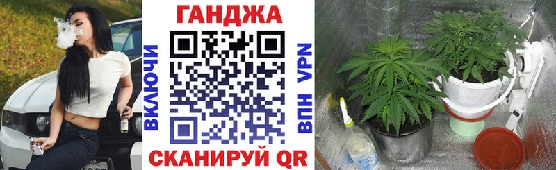 Конопля VHQ Истра